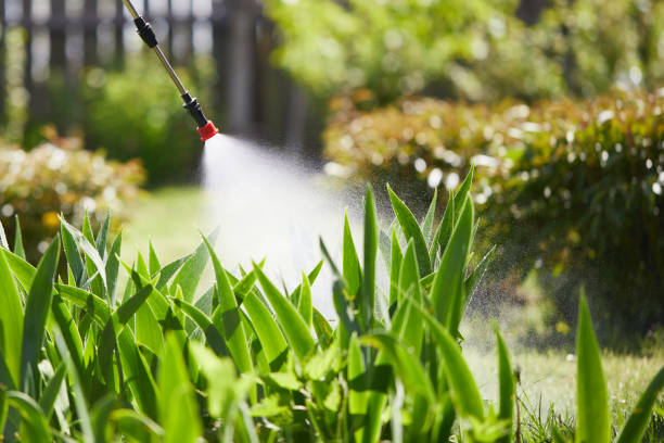 24/7 Emergency Mosquito Control experts in Wellman, IA